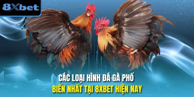 Các loại hình đá gà phổ biến nhất tại 8xbet hiện nay